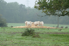 Rencontre au sommet.