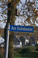 Kuhdamm