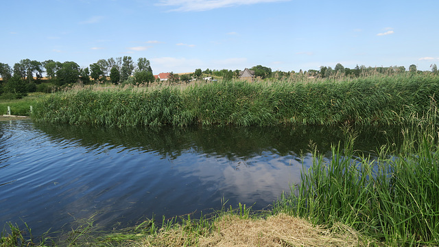 An der Tollense