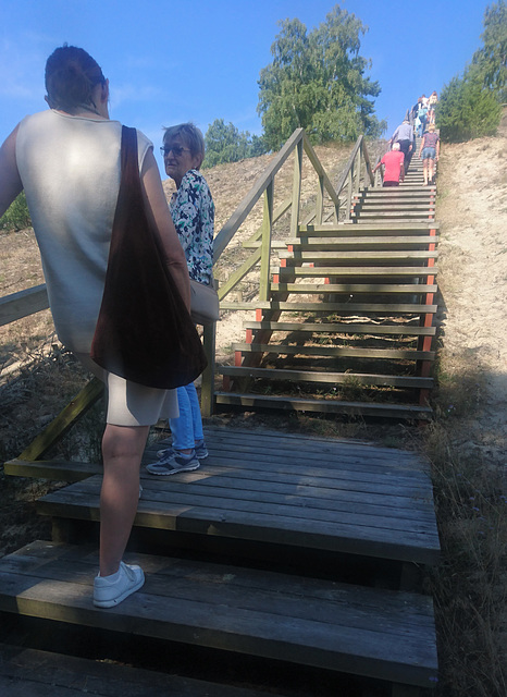 Skirpstas Düne, Litauen