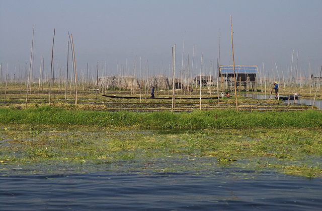 boat trip on Lake Inle