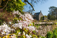 Dartington Hall - 20150414