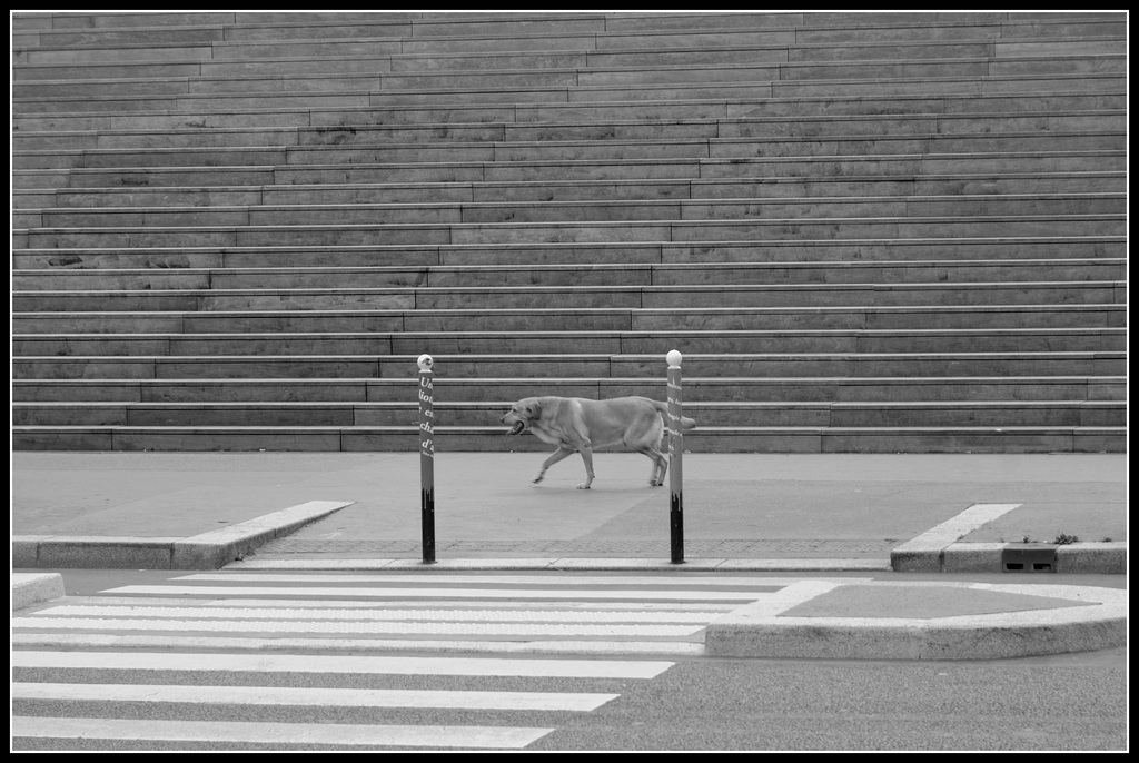 Marcher, toujours marcher...