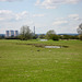 Looking towards Rugeley Power Station along the River Trent from near Netherton