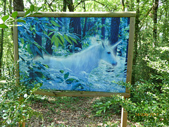 un exemple de l'expo photos un exemple de l'expo photos