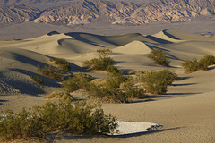 Mesquite Flat Sand Dunes