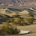 Mesquite Flat Sand Dunes