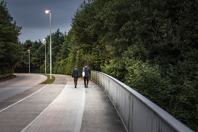 Bridge crossing (15.08.2018)