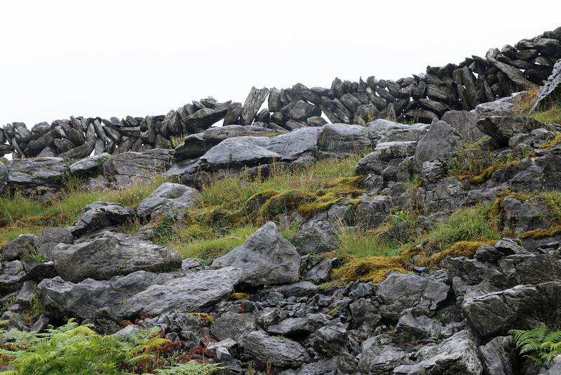 Fences in the Burren 1