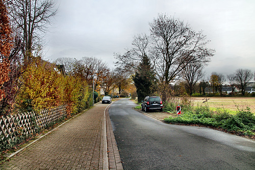 Vaersthausener Straße (Unna-Königsborn) / 26.11.2022