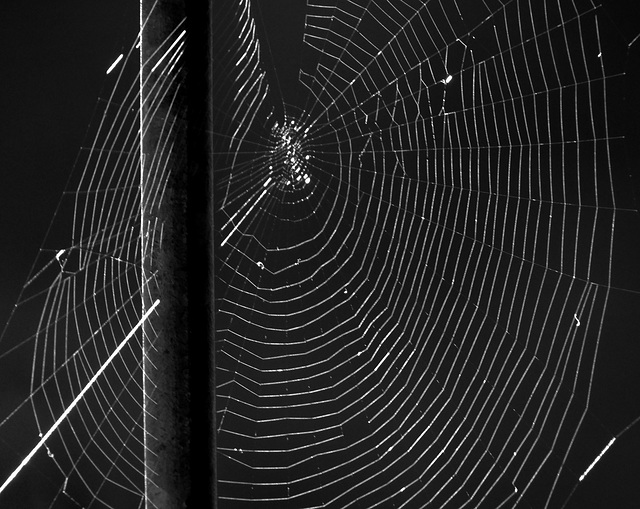 Wires