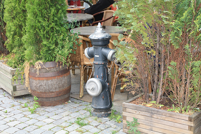 Lüneburg, Hydrant