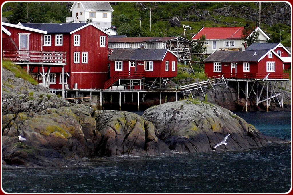 A - Lofoten Norvege
