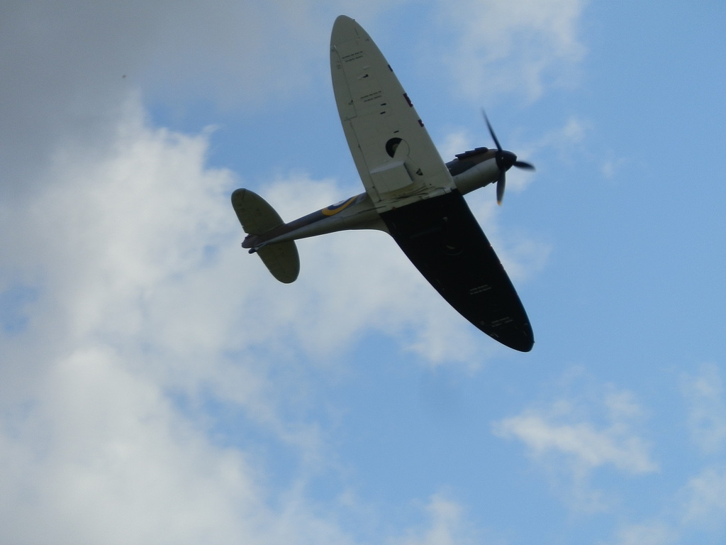 bob75aasdsep192015 (1328)