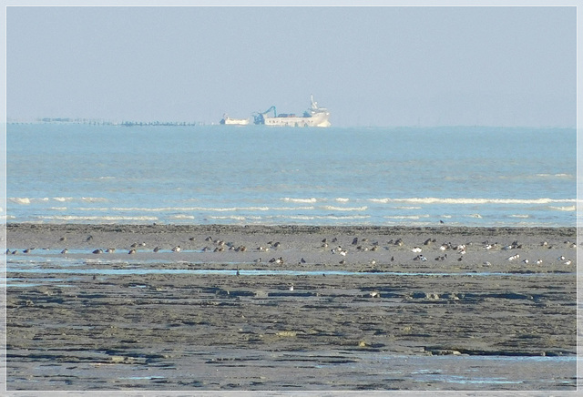 Vue depuis Saint Benoit des Ondes (35 )