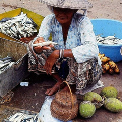 ... marché  ...