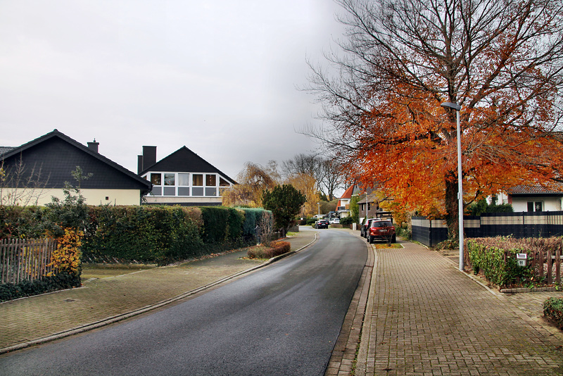 Vaersthausener Straße (Unna-Königsborn) / 26.11.2022