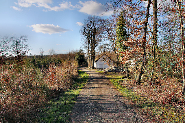 Am Moselshaus (Wetter) / 25.02.2023