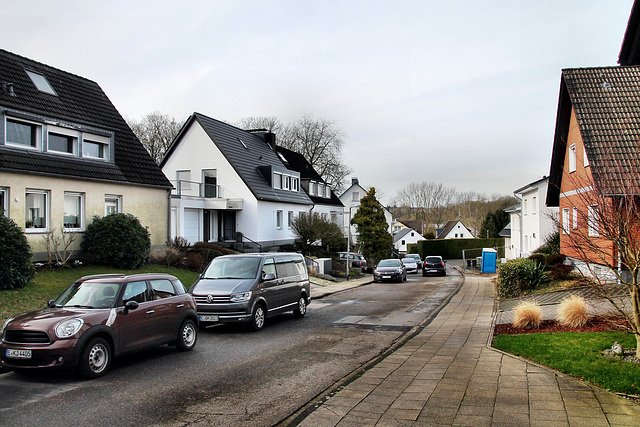 Antropstraße (Essen-Überruhr) / 10.02.2024