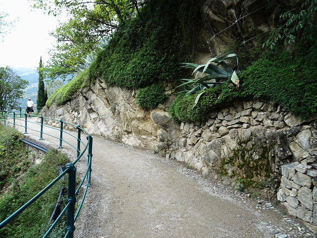 Über Meran, auf dem  Tappeinerweg HFF