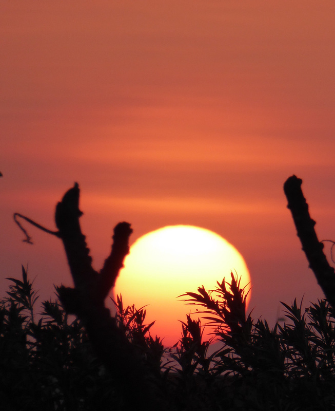 Sunset over the Corniche, Abu Dhabi