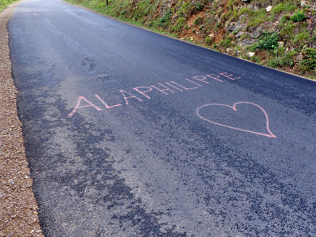 Tour de France - Alaphilippe