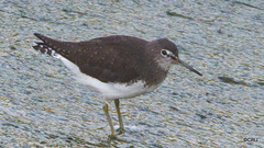 LR-1040178