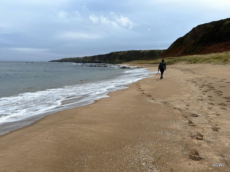 A rare patch of level sandy beach to walk on!