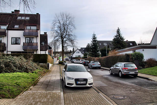 Antropstraße (Essen-Überruhr) / 10.02.2024