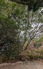 Clôture laissée l'abandon au milieu de nulle part / Sloppy fencing in the middle of nowhere