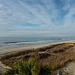 Morning at the Beach