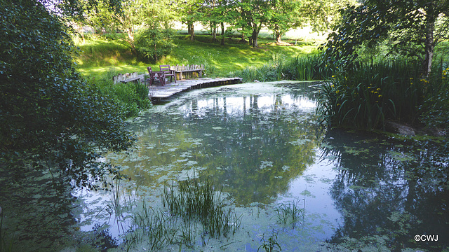 Aquaplancton: effectiveness in pond clearance?