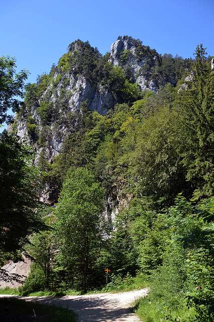 Himmel, Berge, Wälder Herz was willst du mehr