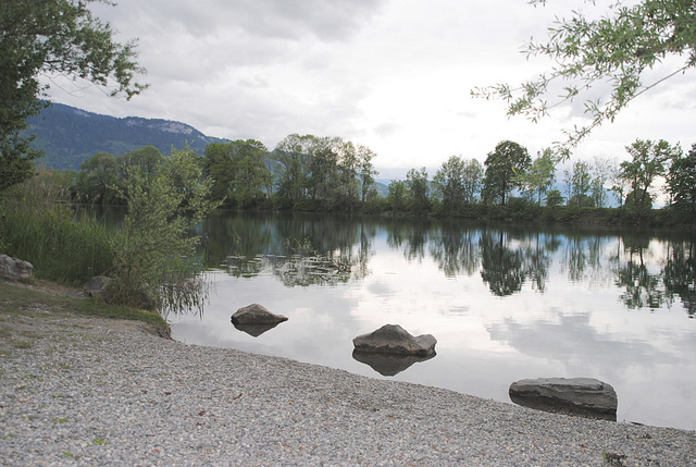 am alten Rhein