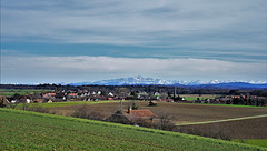 Marthalen ZH / Blick auf den Säntis