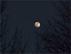 Moon over neighbours