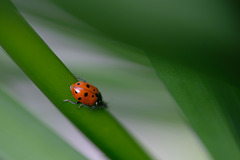 DSCF8722