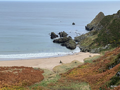 View from the Cullen to Findlater Castle Coastal Trail