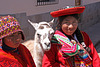 Photobombing llama (Explored)