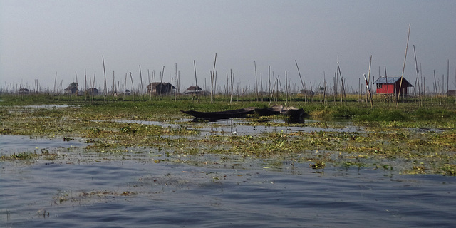 boat trip on Lake Inle