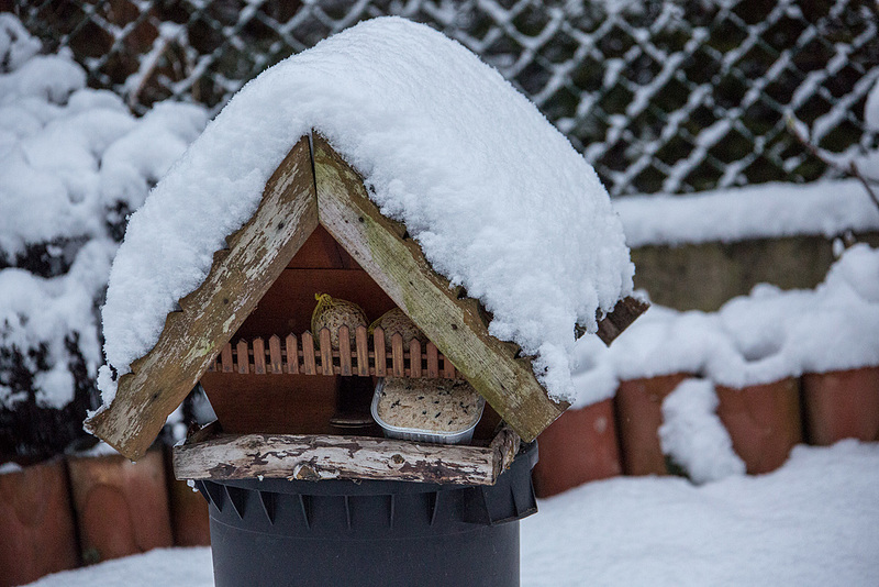 20150131 6765VRAw [D~RI] Schnee, Rinteln
