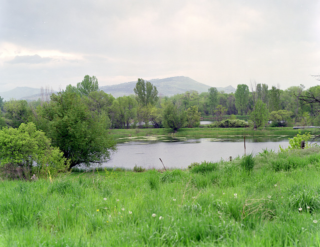 Crane Hollow