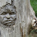 Gesicht im Baum