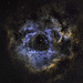 Rosette Nebula Hubble pallet