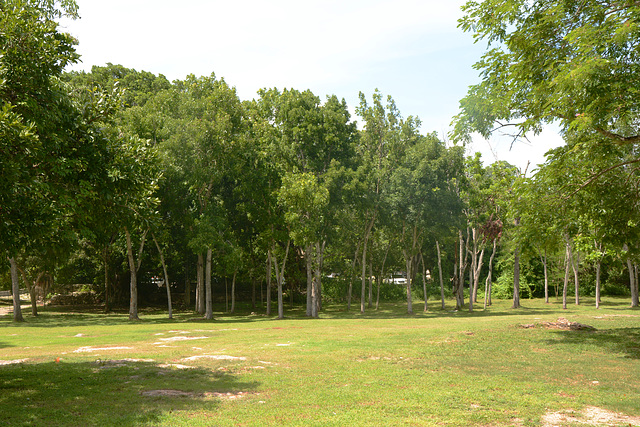 Mexico, Lawn at Hacienda Mucuyche Park