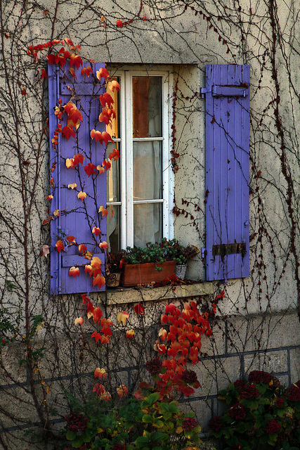 Déco d'automne