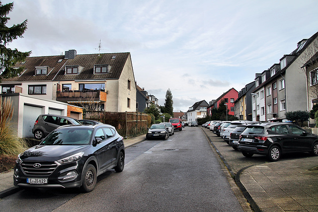 Halferstein (Essen-Überruhr) / 10.02.2024