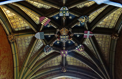 cardiff castle (205)