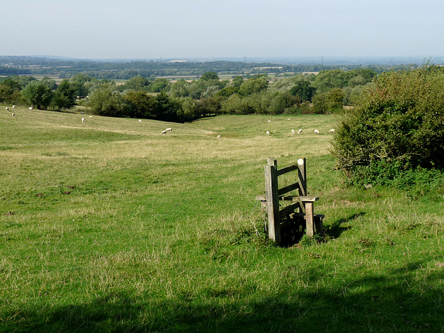 Isolated Stile