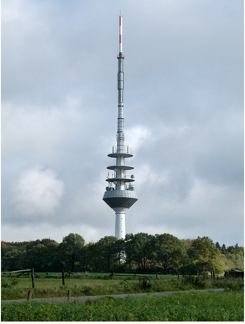 Fernmeldeturm Rosengarten